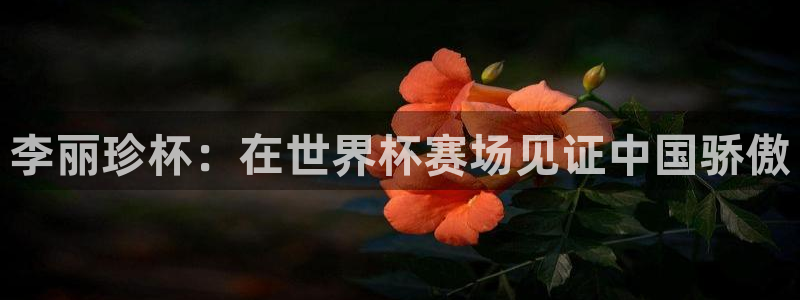 2006世界杯:李丽珍杯:在世界杯赛场见证中国骄傲
