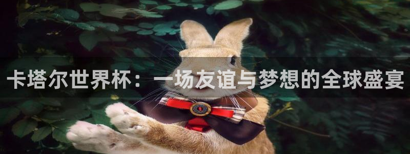 世界杯球赛:卡塔尔世界杯:一场友谊与梦想的全球盛宴