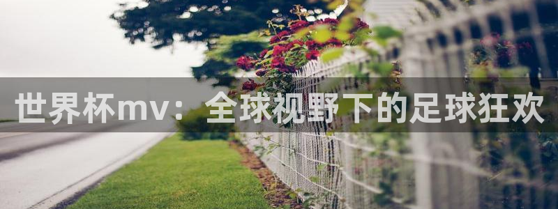 世界直播:世界杯mv:全球视野下的足球狂欢