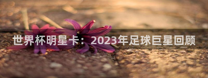 足球比分直播世界杯:世界杯明星卡:2023年足球巨星回顾