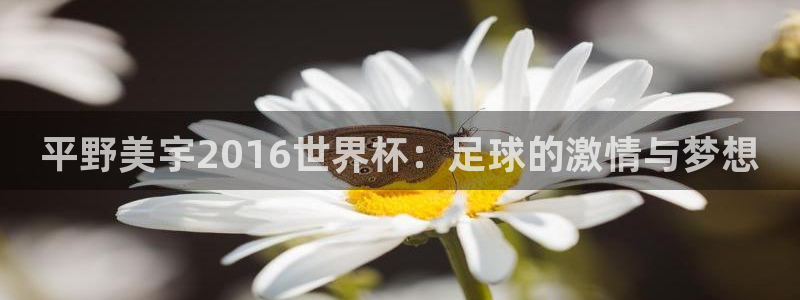 世界杯直播在线观看入口:平野美宇2016世界杯:足球的激情与梦想