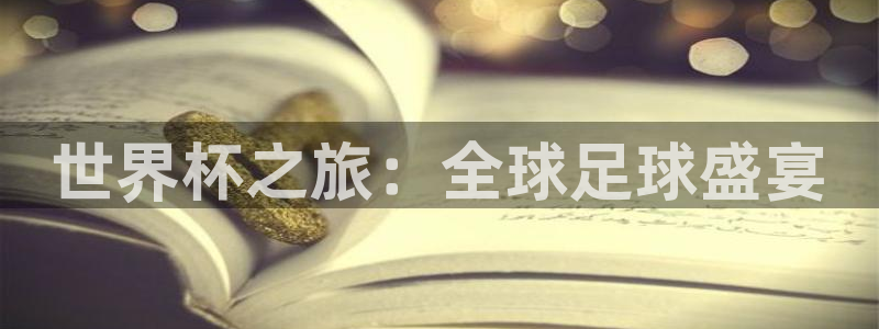 世界杯对阵表:世界杯之旅:全球足球盛宴